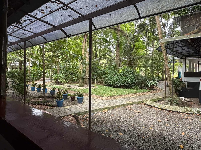 Tropical garden courtyard at Gowrisankara House of Ayurveda
